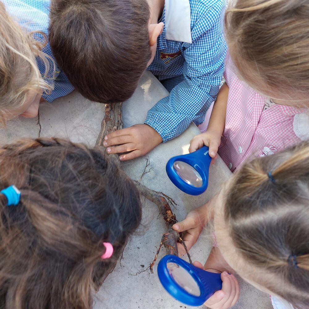Bambini all'aperto osservano un ramo con le lenti d'ingrandimento
